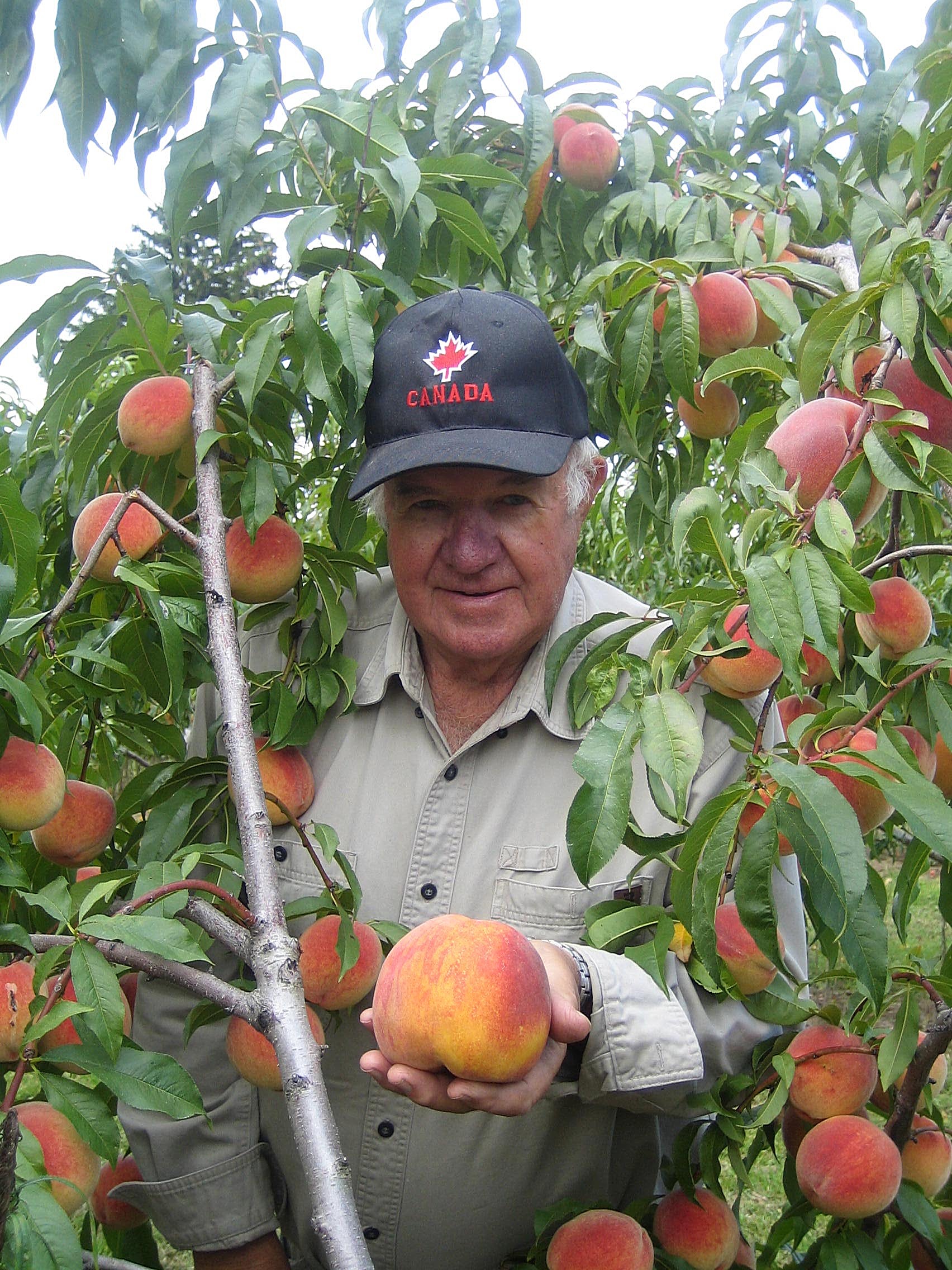 Farmer-Holding-Peaches